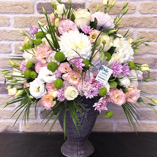 Mini Banner Position 4