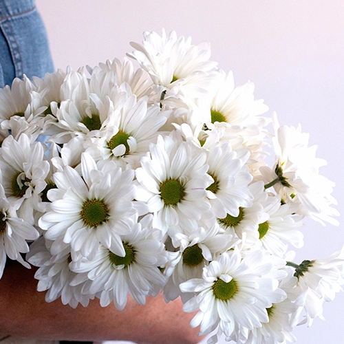 Mini Banner Position 3