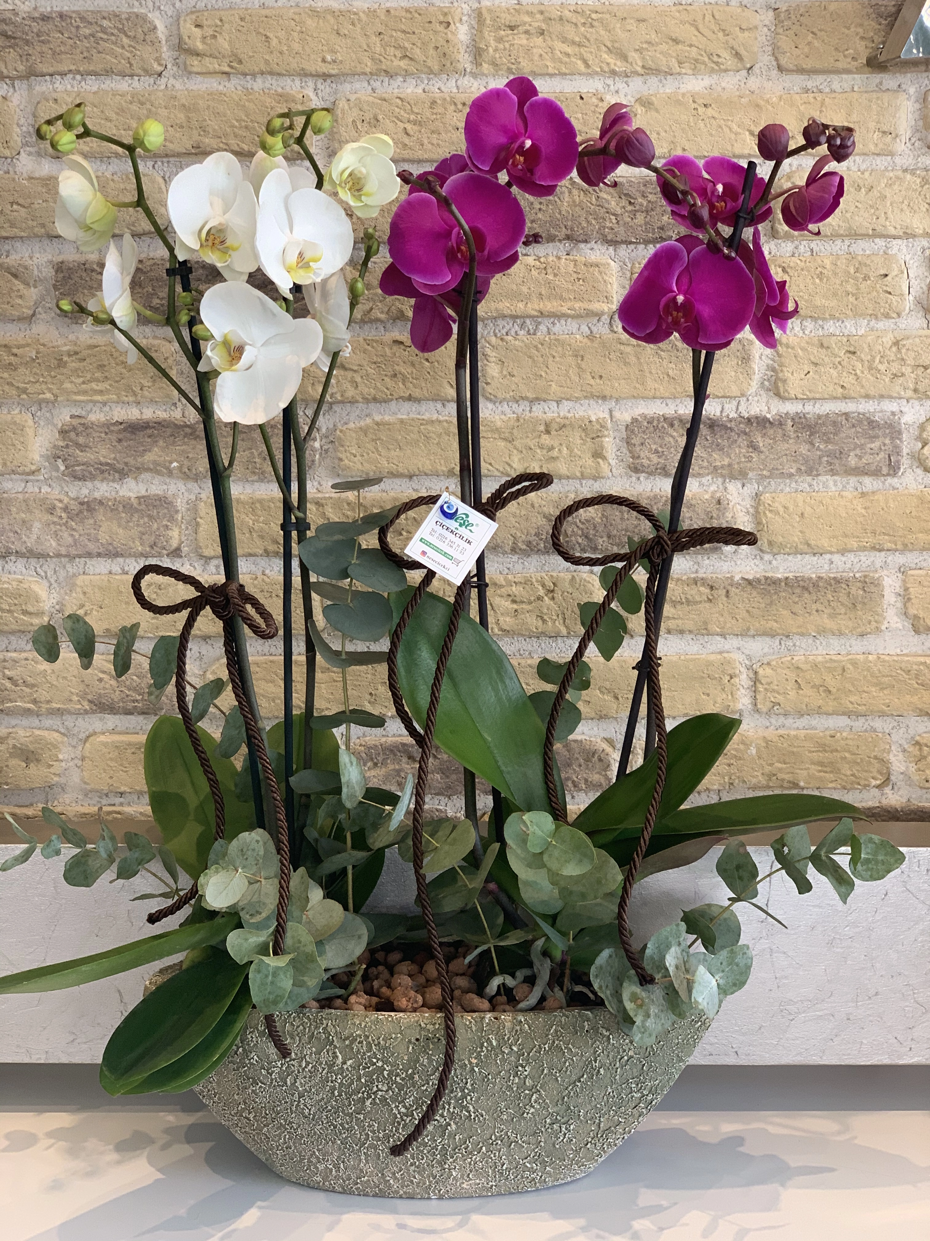 2 Adet Çiftli Orkide Aranjmanı