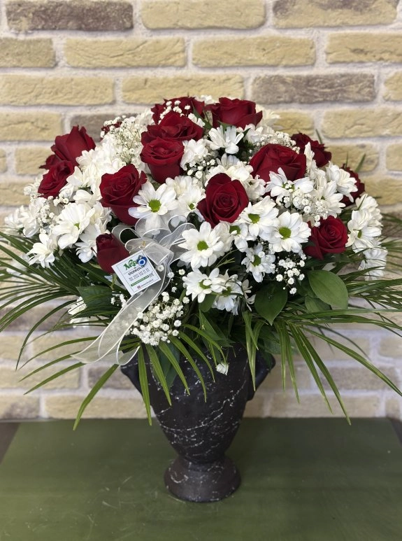 Kırmızı Gül Ve Papatyalar