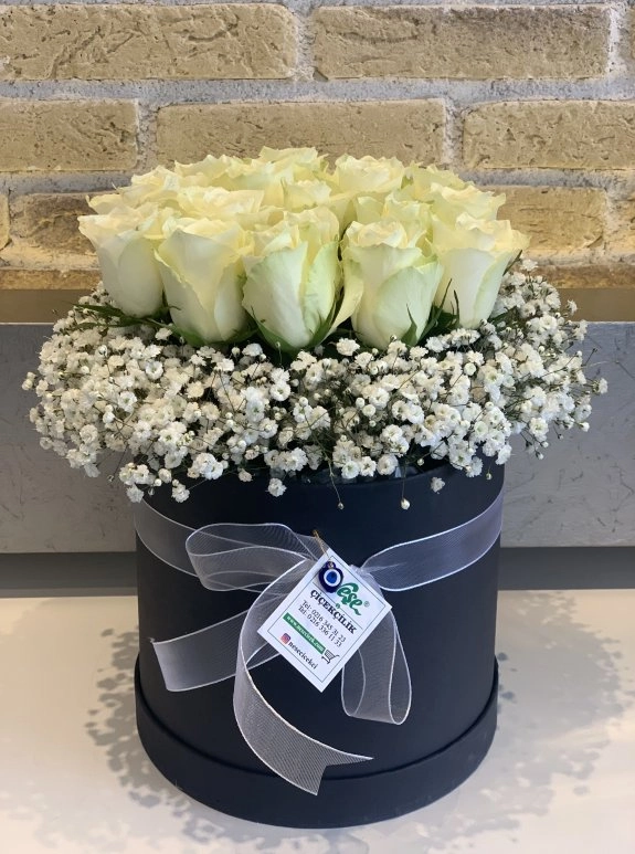 Kutuda Beyaz Güller